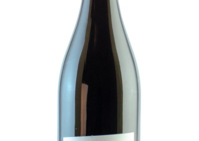 AOP Costières de Nîmes Nemausa rouge 2019